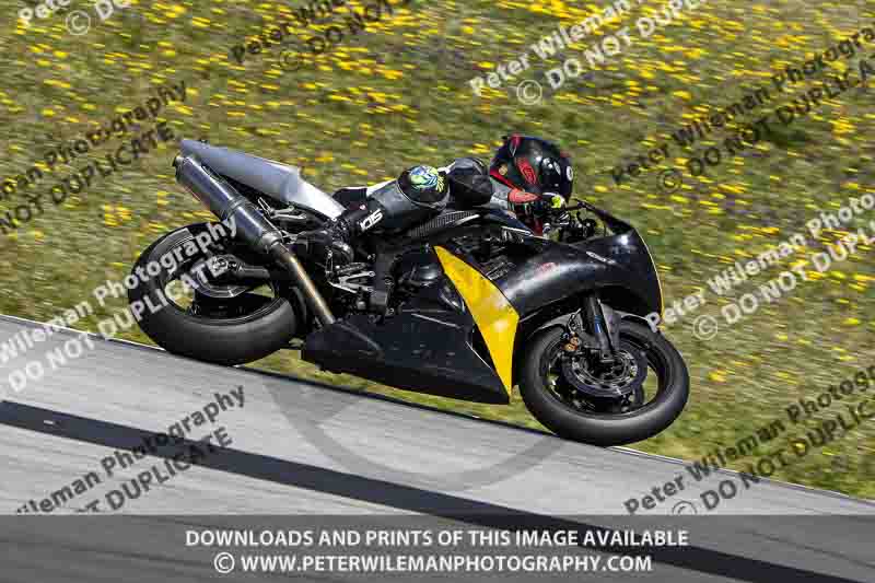 May 2024;motorbikes;no limits;peter wileman photography;portimao;portugal;trackday digital images